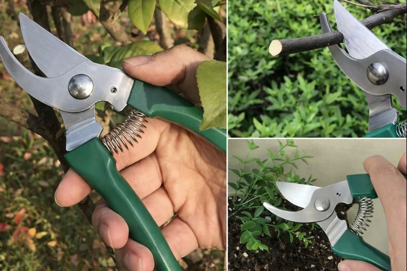 Садовий набір Garden Line садові інструменти для догляду за квітами 10 предметів у валізі Зелений LAR3594 фото